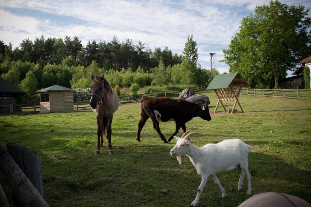Vila Zielone Wzgorza Bytów Exteriér fotografie